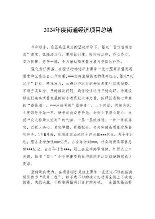 2024年度街道经济项目总结.docx