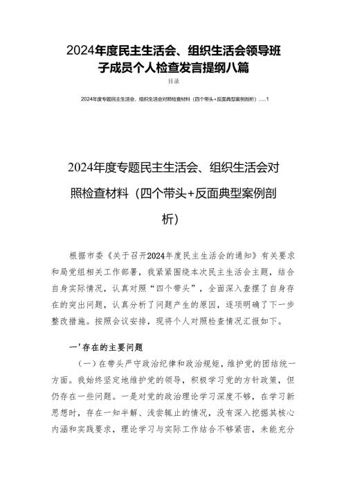 2024年度民主生活、组织生活领导班子成员个人检查发言提纲八篇.docx