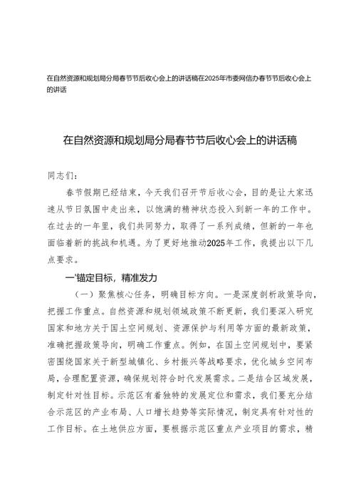 2025年网信办、自然资源和规划系统在春节节后收心会上的讲话稿.docx