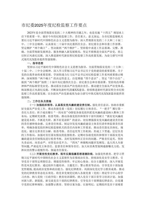 市纪委2025年度纪检监察工作要点.docx