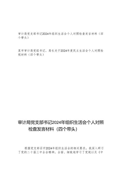 审计局党支部书记党组书记局长2024年度组织生活会个人对照检查发言材料2篇（四个带头）.docx