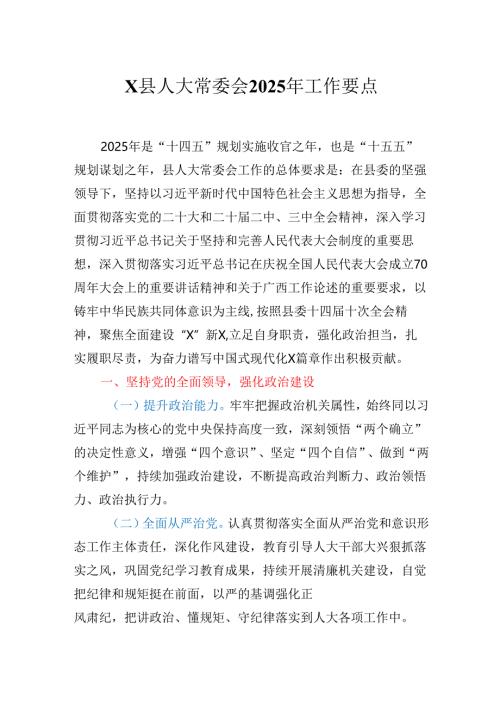 X县人大常委会2025年工作要点.docx