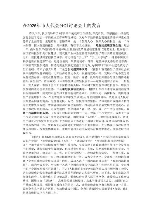在2025年市人代会分组讨论会上的发言.docx
