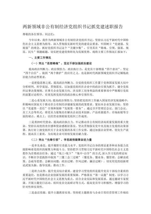 两新领域非公有制经济党组织书记抓党建述职报告.docx