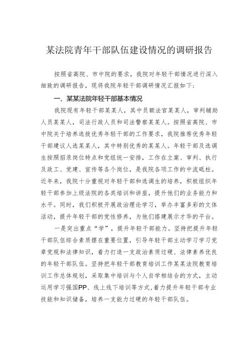 某法院青年干部队伍建设情况的调研报告.docx