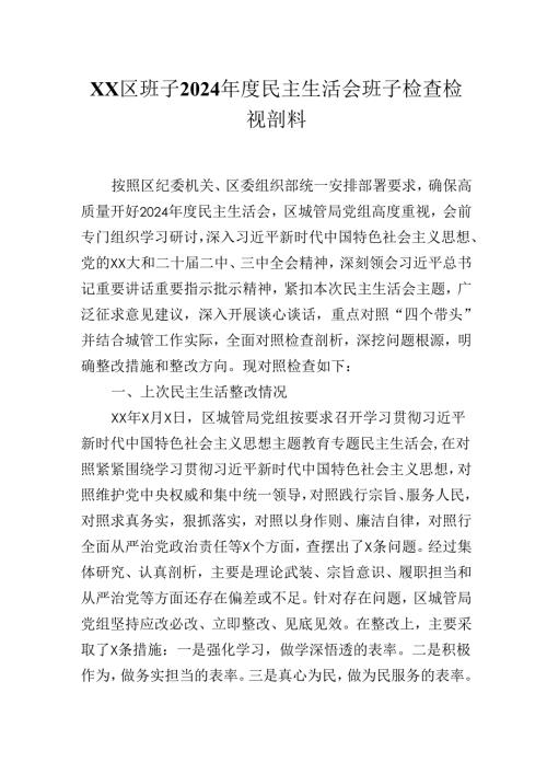XX区班子2024年度民主生活会班子检查检视剖析材料.docx