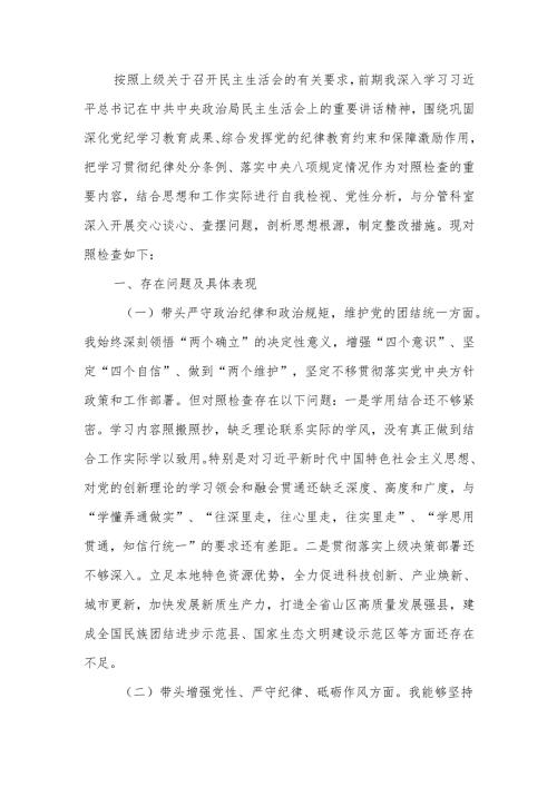 最新2024年县政府民主生活班子成员个人检查材料（四个带头）Word文档.docx
