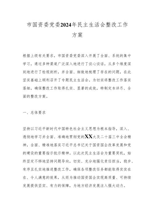 市国资委党委2024年民主生活会整改工作方案.docx
