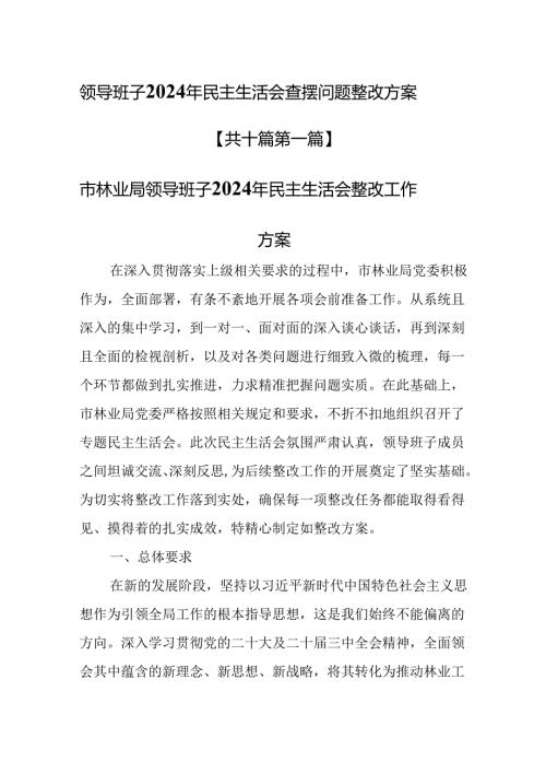 （10篇）领导班子2025年民主生活会查摆问题整改方案.docx