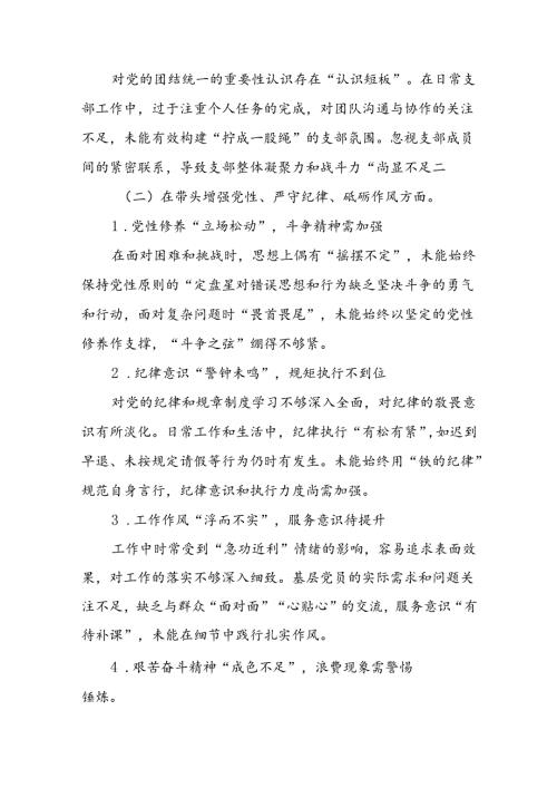 2024年度组织生活支部个人检查发言材料（四个带头）八篇.docx
