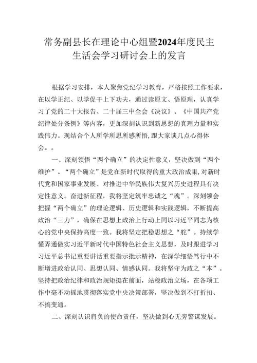 常务副县长在理论中心组暨2024年度民主生活会学习研讨会上的发言材料.docx