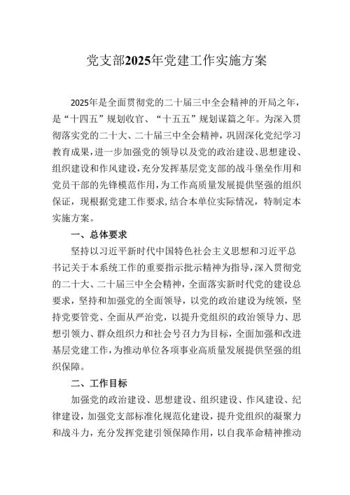 党支部2025年党建工作计划实施方案.docx