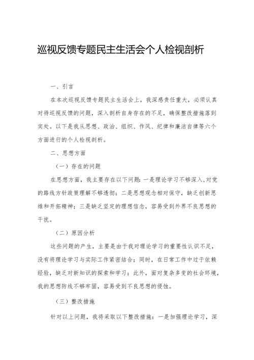 巡视反馈专题民主生活会个人检视剖析材料.docx