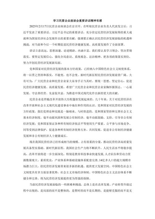 学习民营企业座谈会重要讲话精神有感.docx