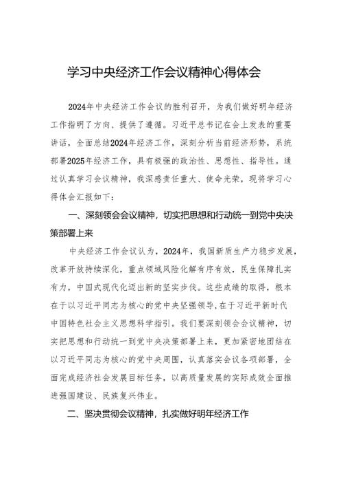 九篇学习2024年中央经济工作会议精神心得体会优秀发言稿.docx
