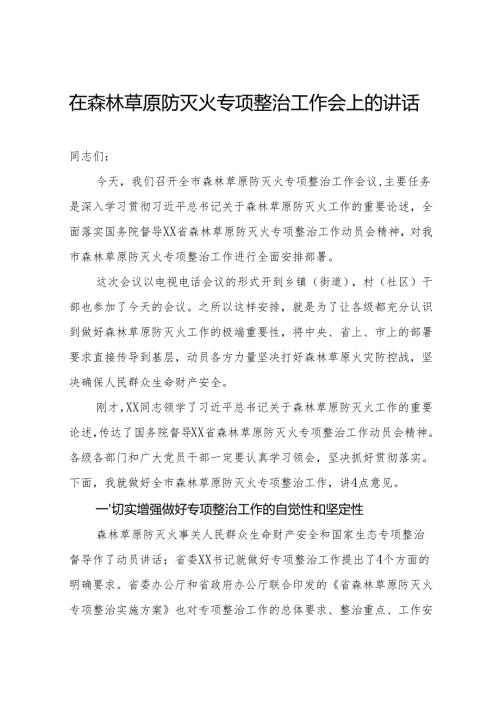 森林草原防灭火专项整治工作会上的讲话.docx