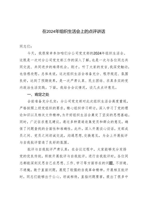 2025年 在2024年组织生活会上的点评讲话.docx