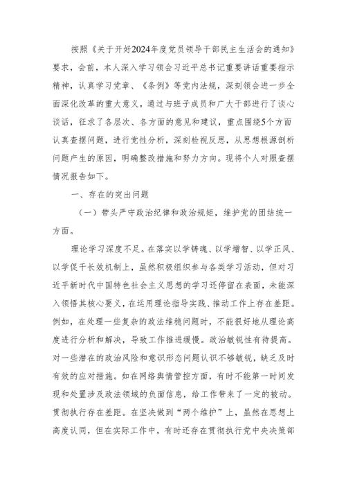 最新政法委书记2024年度民主生活个人四个带头检视发言材料Word文档.docx