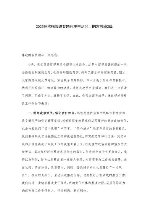 2025在巡视整改专题民主生活会上的发言稿2篇.docx