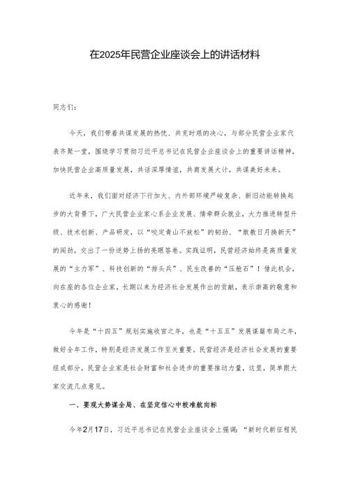 在2025年民营企业座谈会上的讲话材料.docx