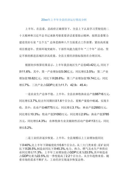 20xx年上半年全县经济运行情况分析.docx