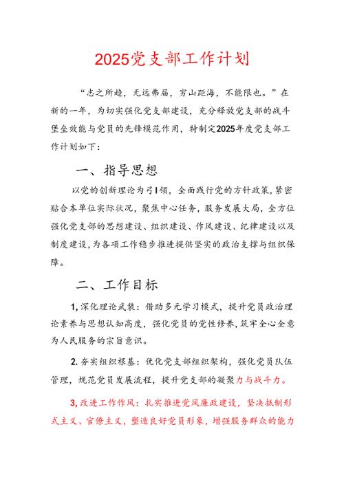 2025 党支部工作计划.docx