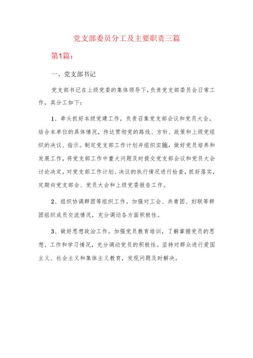 党支部委员分工及主要职责三篇.docx