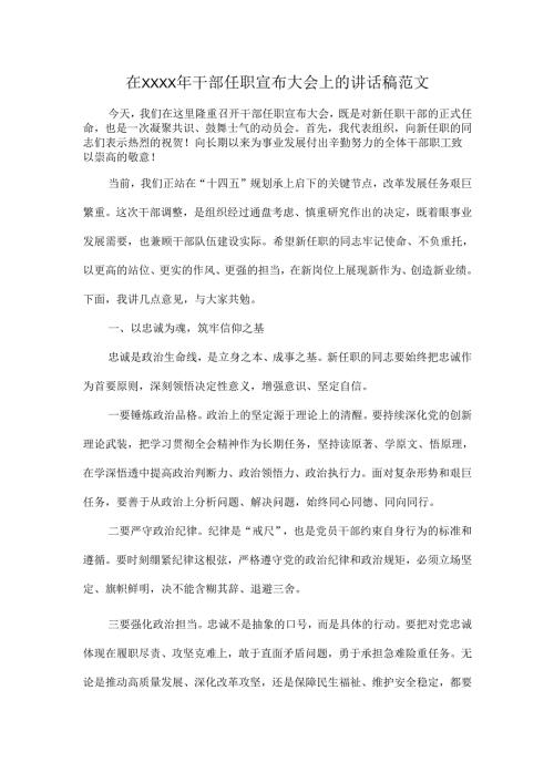 在XXXX年干部任职宣布大会上的讲话稿范文.docx