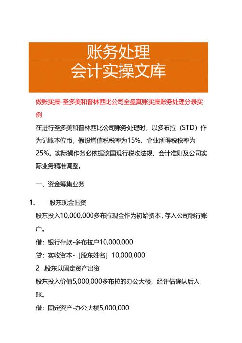 做账实操-圣多美和普林西比公司全盘账务处理分录实例.docx