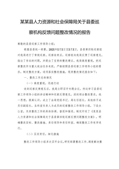 县人力资源和社会保障局关于县委巡察机构反馈问题整改情况的报告.docx