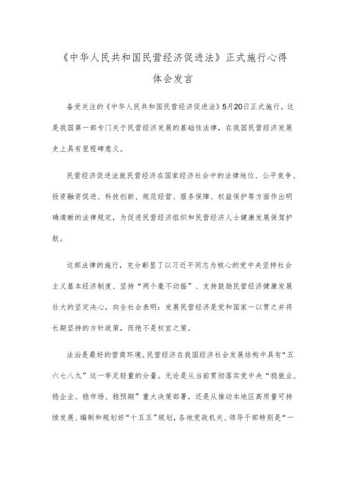 《中华人民共和国民营经济促进法》正式施行心得体会发言.docx