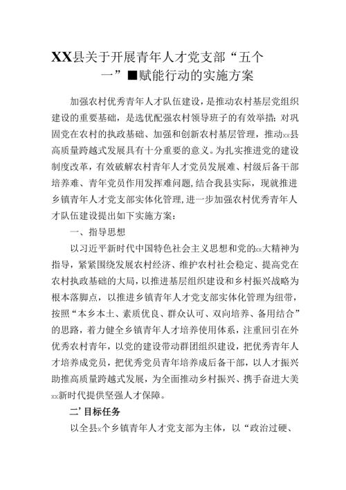 XX县关于开展青年人才党支部“五个一”强基赋能行动的实施方案.docx