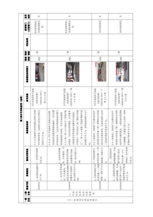 加油站专用检查指引.docx