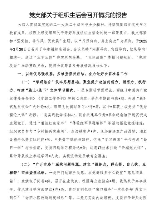 党支部关于组织生活会召开情况的报告.docx