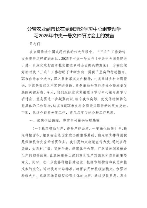 2025年理论中心组专题研讨会上的发言材料精选两篇合辑（审计局+副市长）.docx