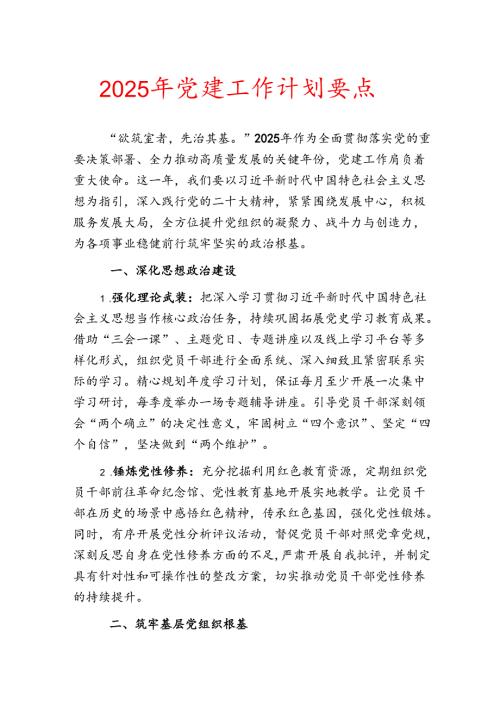 2025 年党建工作计划要点.docx
