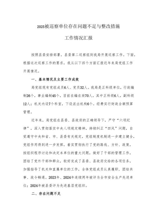 2025被巡察单位存在问题不足与整改措施工作情况汇报.docx