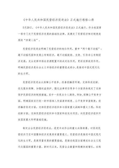 《中华人民共和国民营经济促进法》正式施行感悟心得.docx