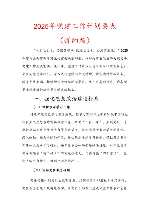 2025 年党建工作计划要点.docx