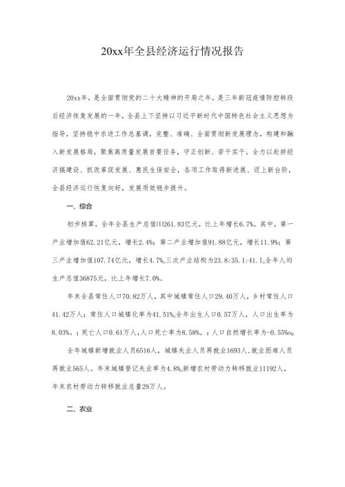 20xx年全县经济运行情况报告.docx