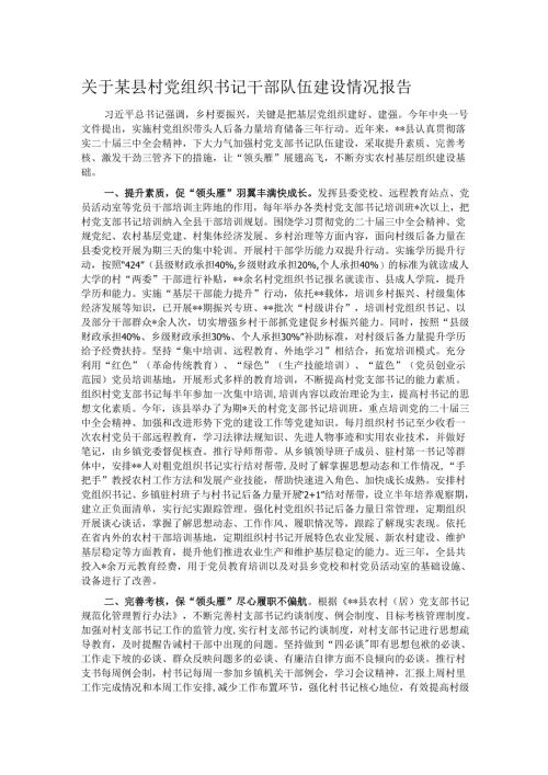 关于某县村党组织书记干部队伍建设情况报告.docx