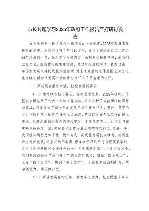 市长专题学习2025年政府工作报告严打研讨发言.docx