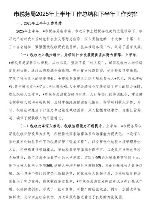 市税务局2025年上半年工作总结和下半年工作安排.docx