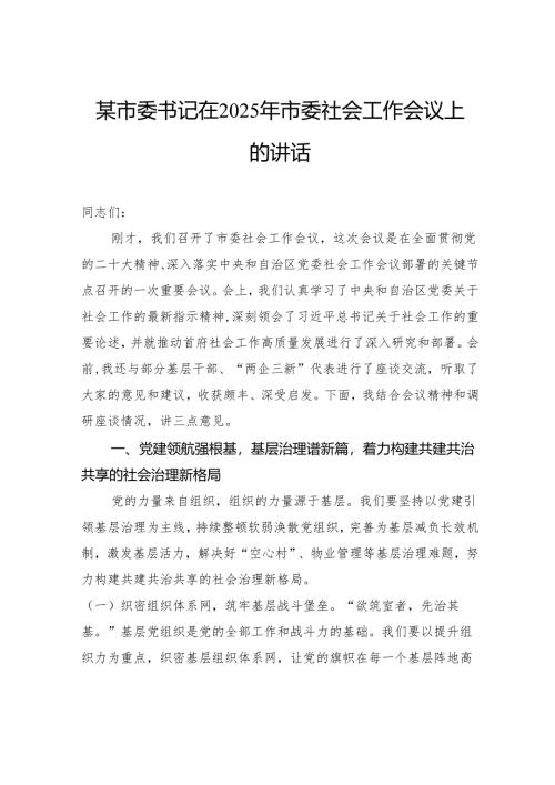 某市委书记在2025年市委社会工作会议上的讲话.docx