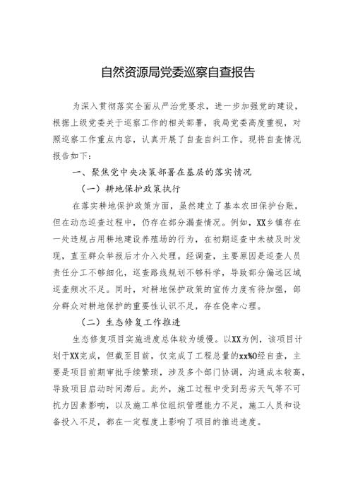 自然资源局党委巡察自查报告.docx