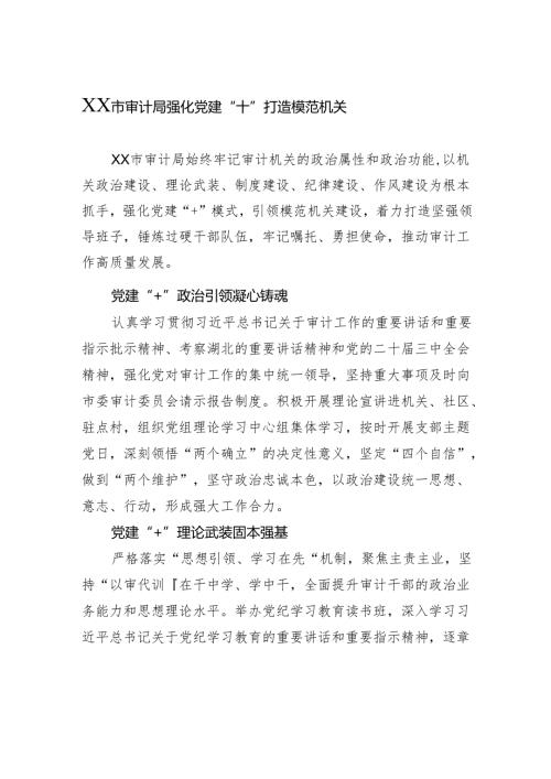 审计局强化党建“”打造模范机关.docx