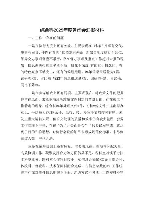 综合科2025年度务虚会汇报材料.docx