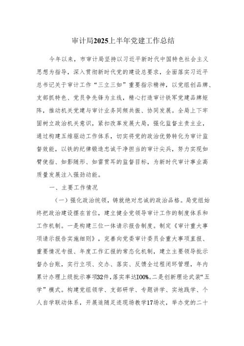 审计局2025上半年党建工作总结.docx