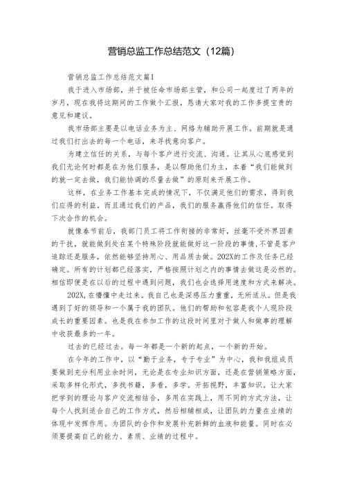 营销总监工作总结范文（12篇）.docx
