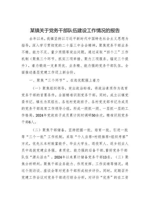 某镇关于党务干部队伍建设工作情况的报告.docx